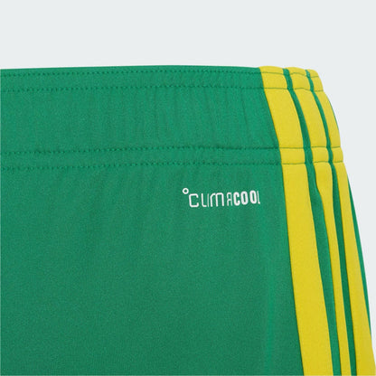 Official SA Legacy Threads™ South Africa 2026 Home Shorts Kids